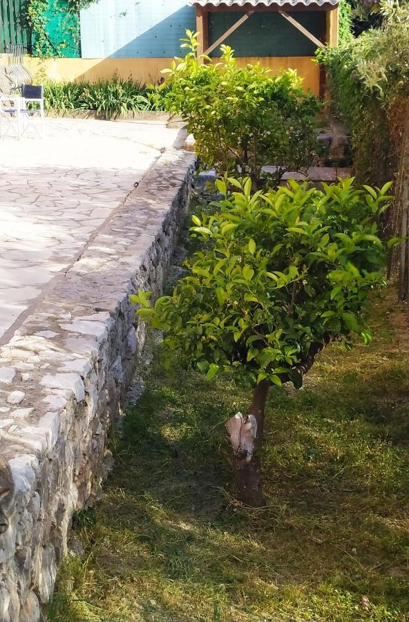 Rez-de-villa Mougins Esterno foto