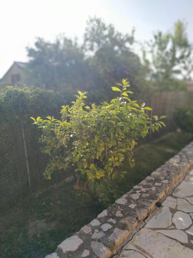 Rez-de-villa Mougins Esterno foto